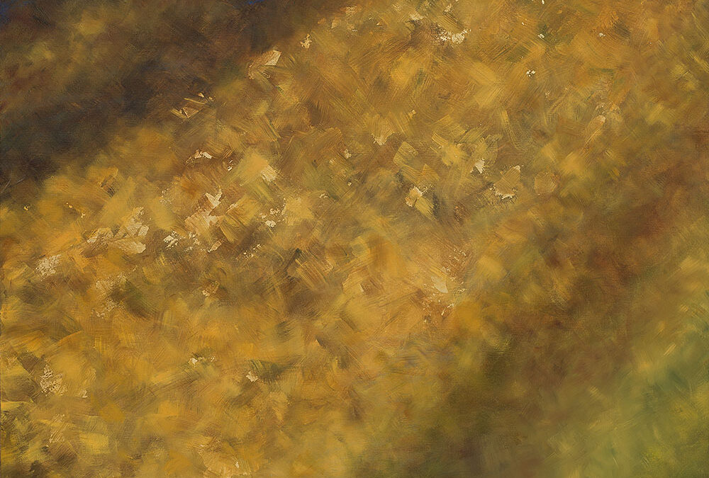 Gold im Fluss 2019